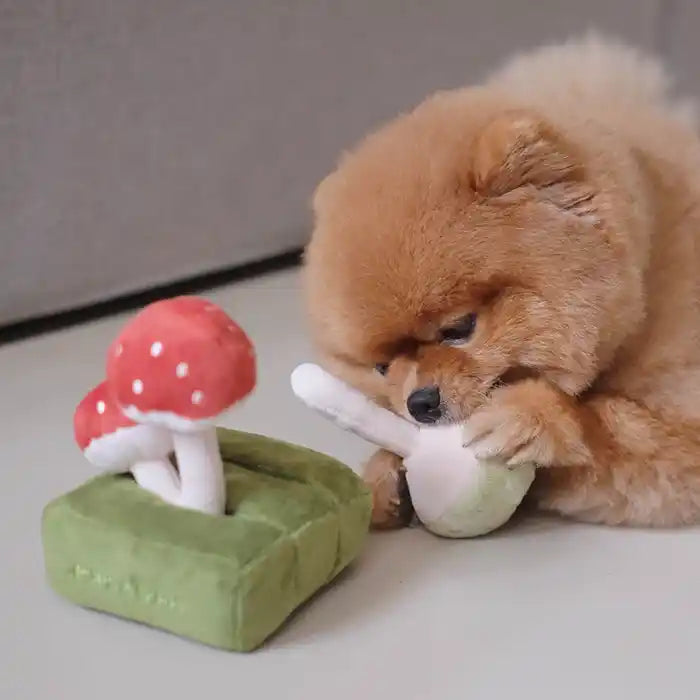 pomeranian playing with mushroom snuffle toy