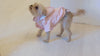 yorkie mix wearing miamore pink raincoat