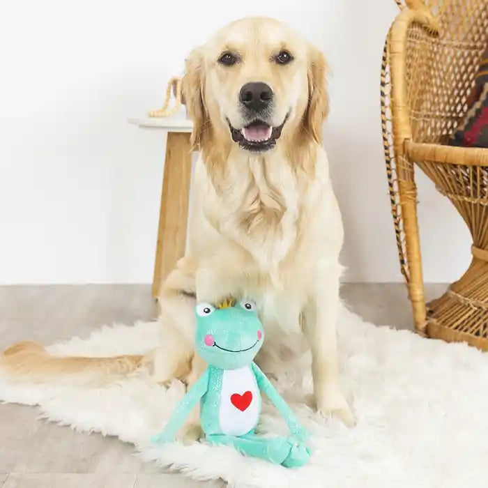 retriever with prince charming dog toy