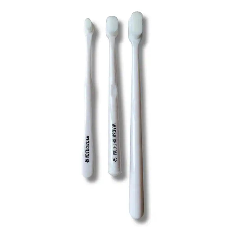 puppy polisher eco toothbrush sizes