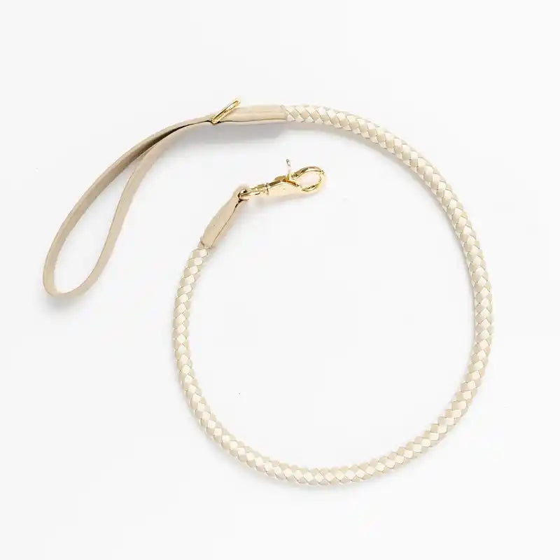 pupwell city dog traffic leash