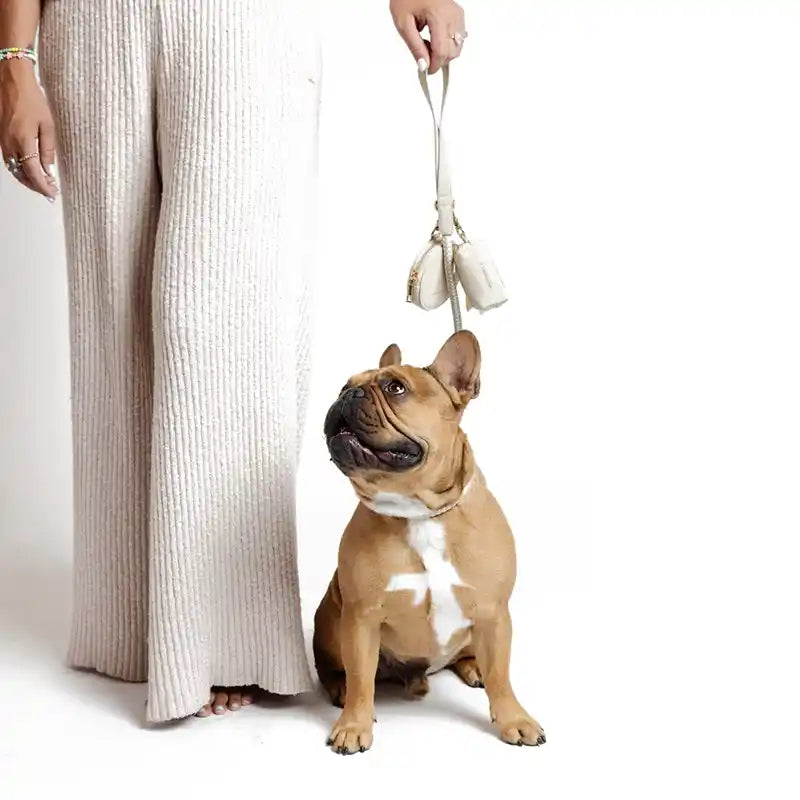 frenchie sitting next to woman wearing city traffic leash