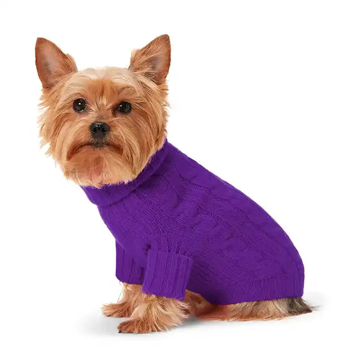 cable knit ralph lauren polo cashmere dog sweater in purple