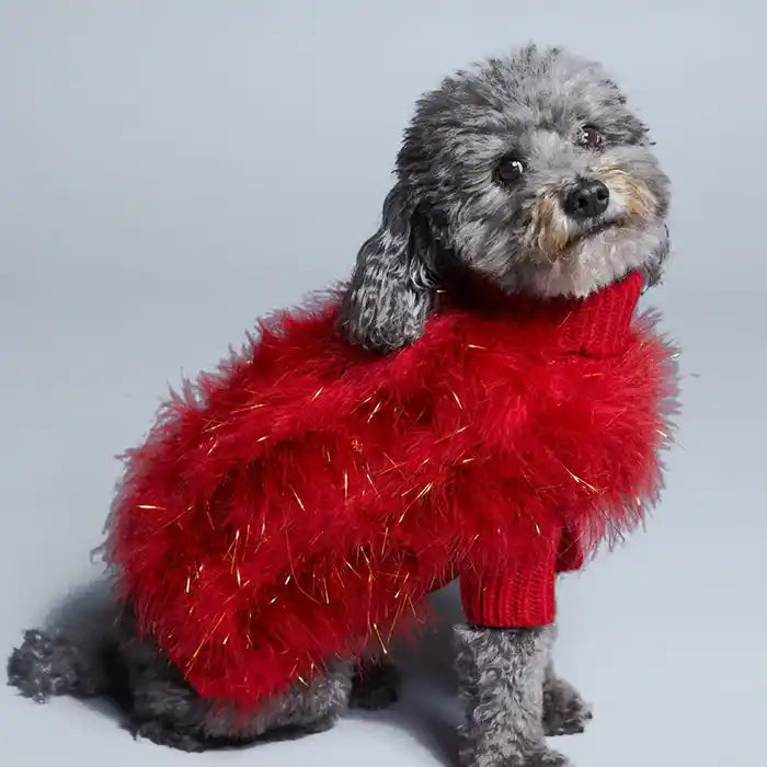 Grey Poodle wearing Christian Cowan x MB Glitz Jumper in Red