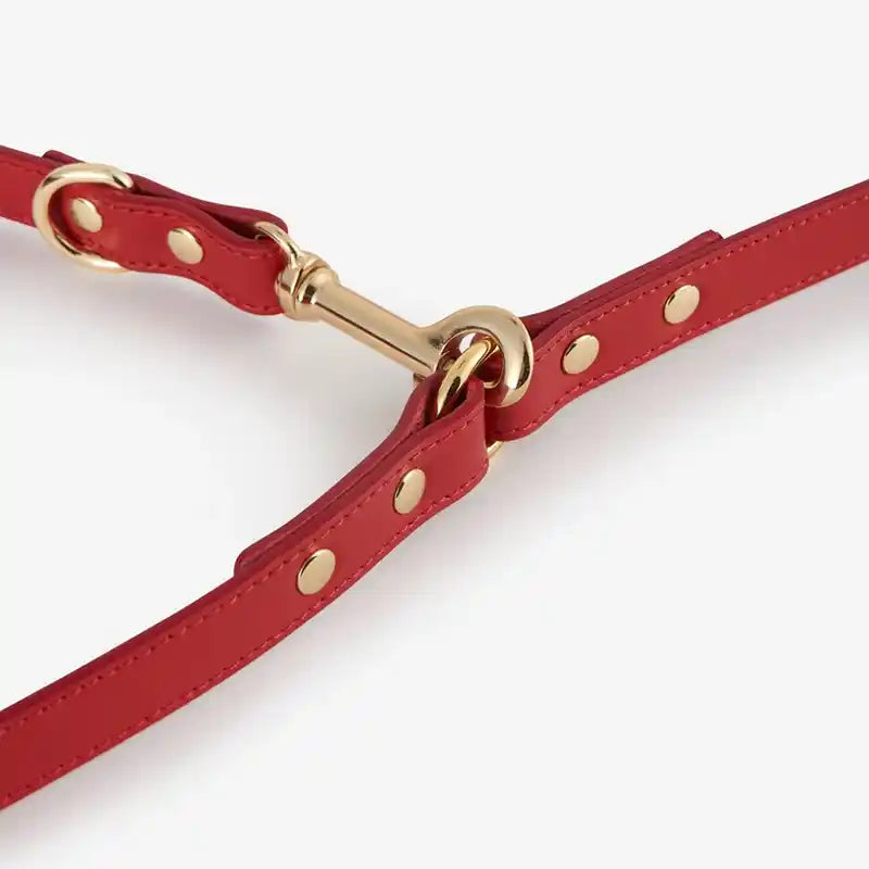 handle italian leather leash