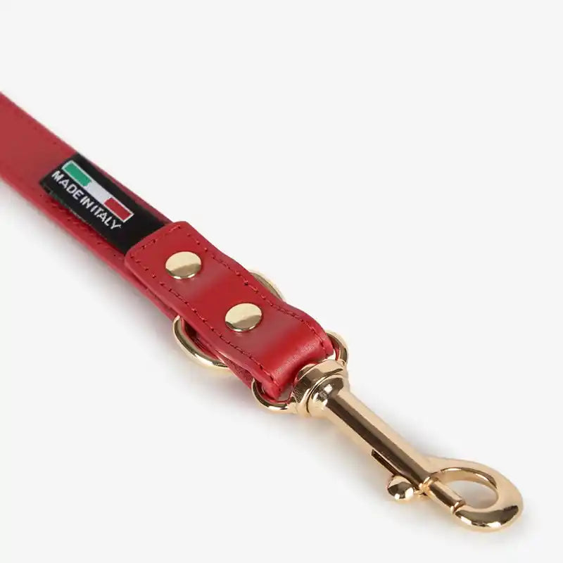 closeup red italian leather leash