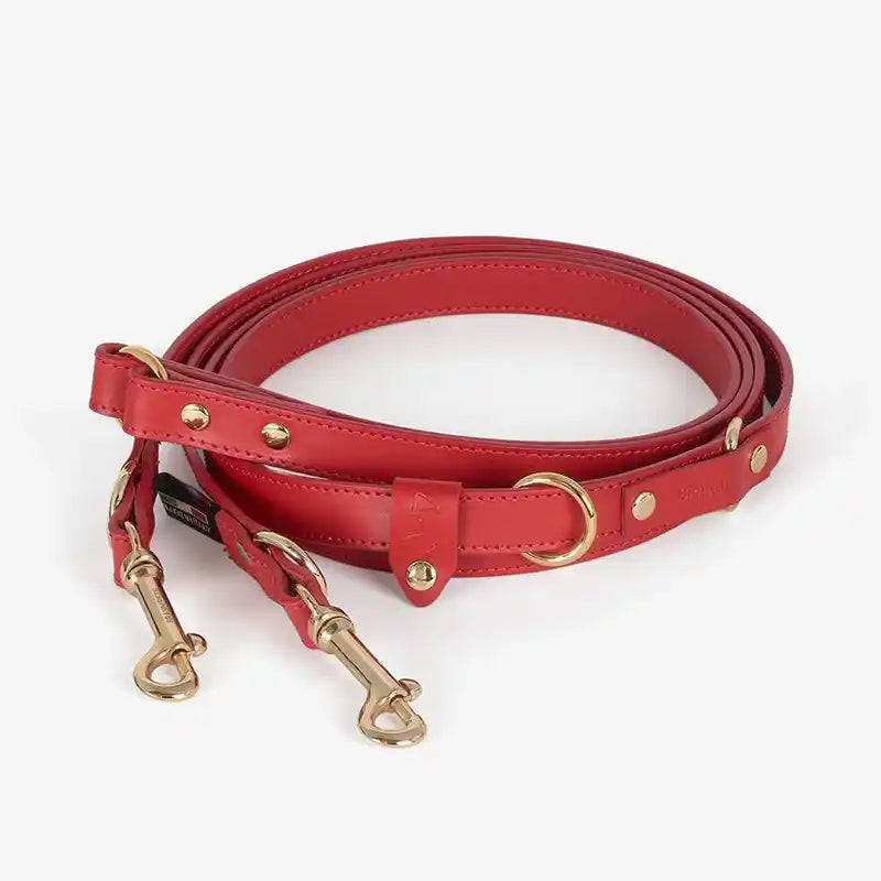 red italian leather leash