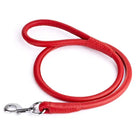 red leather dog leash