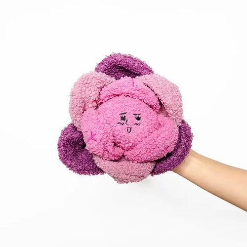 red cabbage nosework dog toy