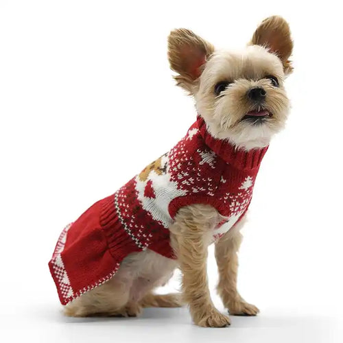 yorkie wearing reindeer fair isle sweater dress