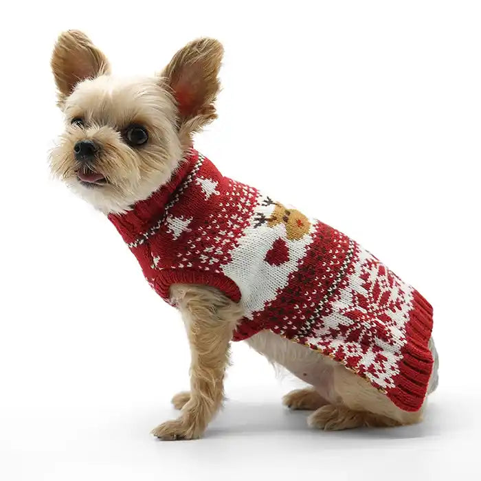 dog wearing reindeer fairisle sweater