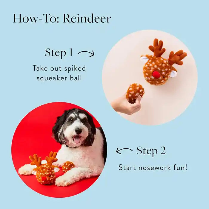 reindeer bounce dog toy info