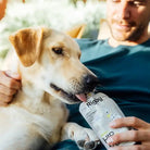 A yellow Labrador retriever licks a Rigby dog treat pouch held by a man wearing a teal shirt, in a warm, sunny, outdoor setting.
