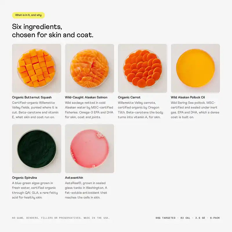 Rigby Skin & Coat Supplement Ingredients
