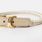 Cream and beige rolled, braided dog collar with a gold buckle and 'PUPWELL' branding on a white background