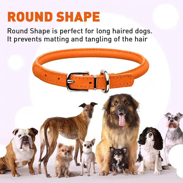 round shape info