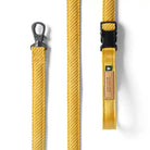 yellow roy leash
