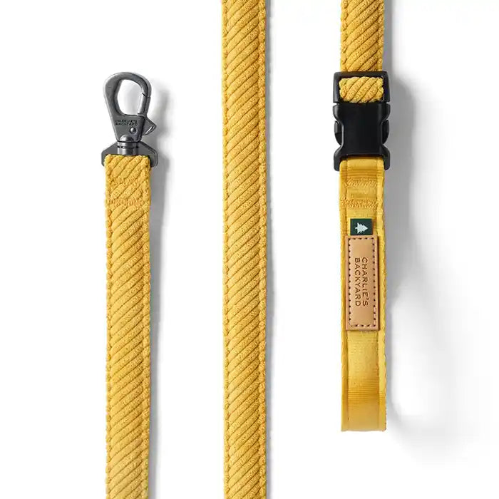 yellow roy leash