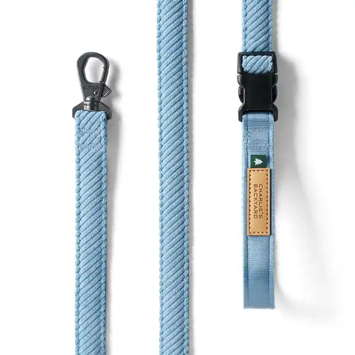 light blue roy leash
