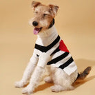 Dog wearing Sailor of My Heart Striped Dog Sweater