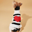 Dog wearing a sweater with a red heart design on a beige background