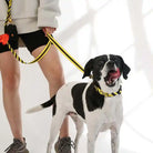 Saint Rue Yield Sport Dog Collar Lifestyle