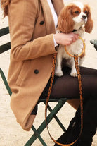 woman holding sasha leash with a cavalier king charles dog on her lap