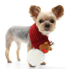 yorkie wearing reindeer scarf