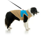 Dog Wearing Gooby Dog Color Block Harness Vest in Turqouise Blue & Tan