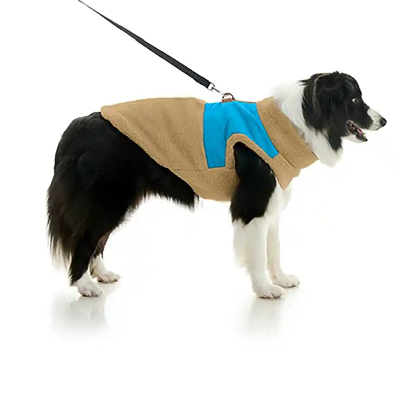 Dog Wearing Gooby Dog Color Block Harness Vest in Turqouise Blue & Tan