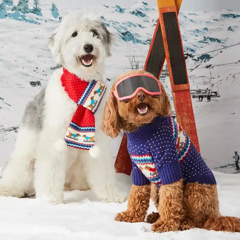 gray malin foggy dog ski sweater styled