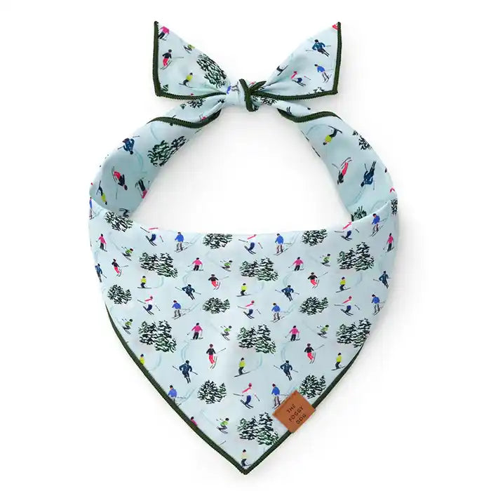 Skier dog bandana