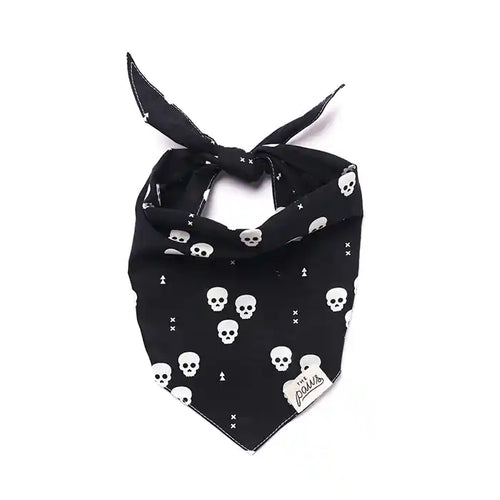 skulls dog bandana