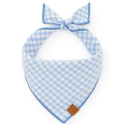 the foggy dog sky blue gingham bandana