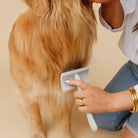 pupwell curved slicker brush being used on golden retriever
