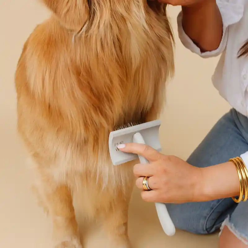 pupwell curved slicker brush being used on golden retriever