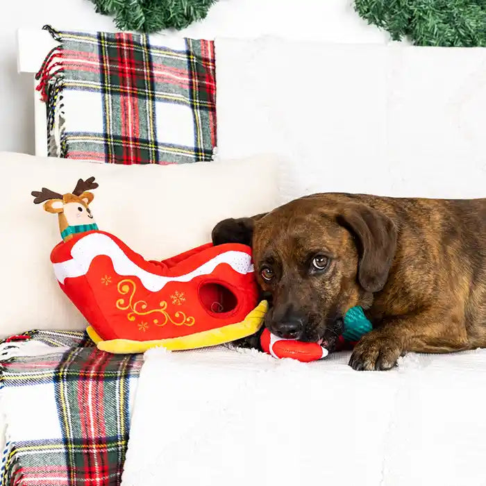 santa sleigh holiday small dog toy set styled
