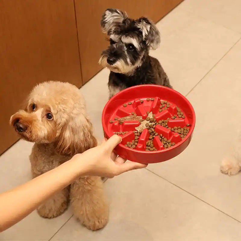 Two dogs looking at a red slow feeder filled with kibble on a tiled floor.