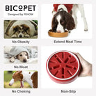 Slow feeder benefits 