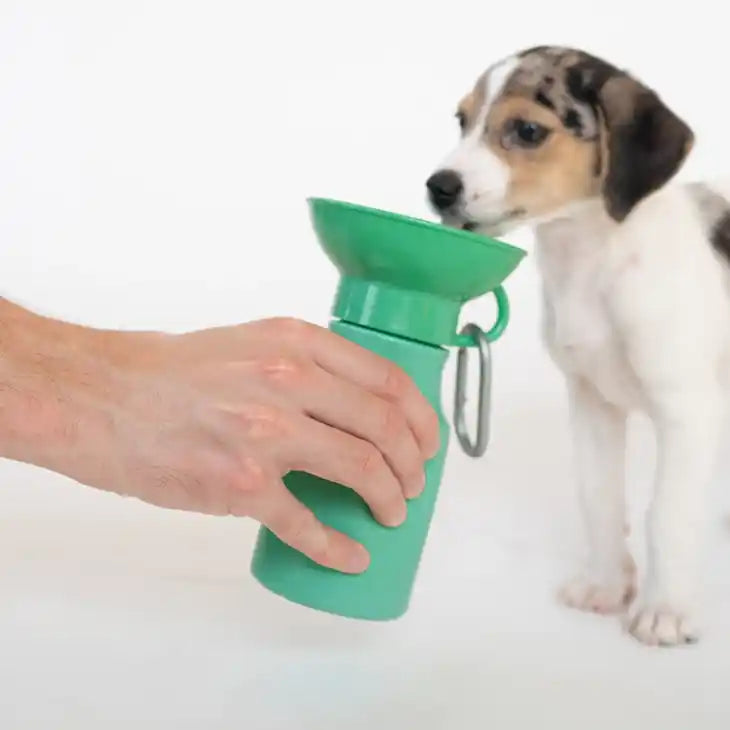 Springer Mini Travel Water Bottle for Dogs in Green styled