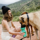 dog drinking out of springer dog water bottle