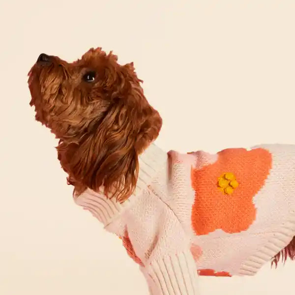 foggy dog in bloom sweater