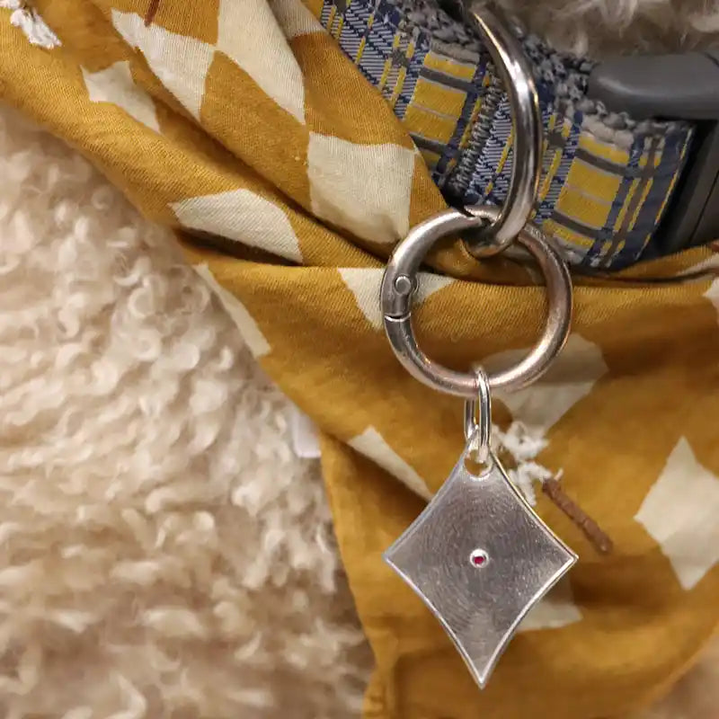 diamond dog id tag styled