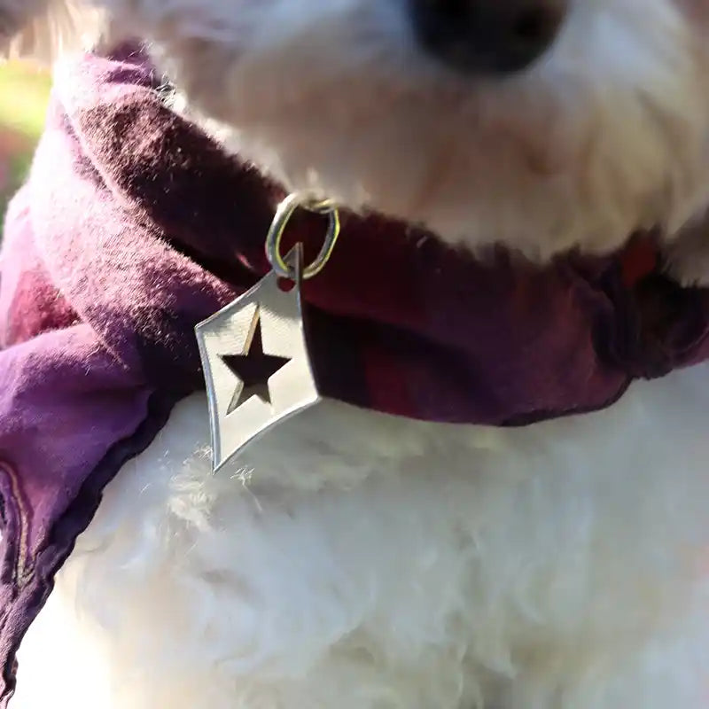 dog id tag with cut out star
