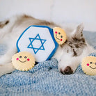 Star of David Burrow Dog Toy with sleeping dog