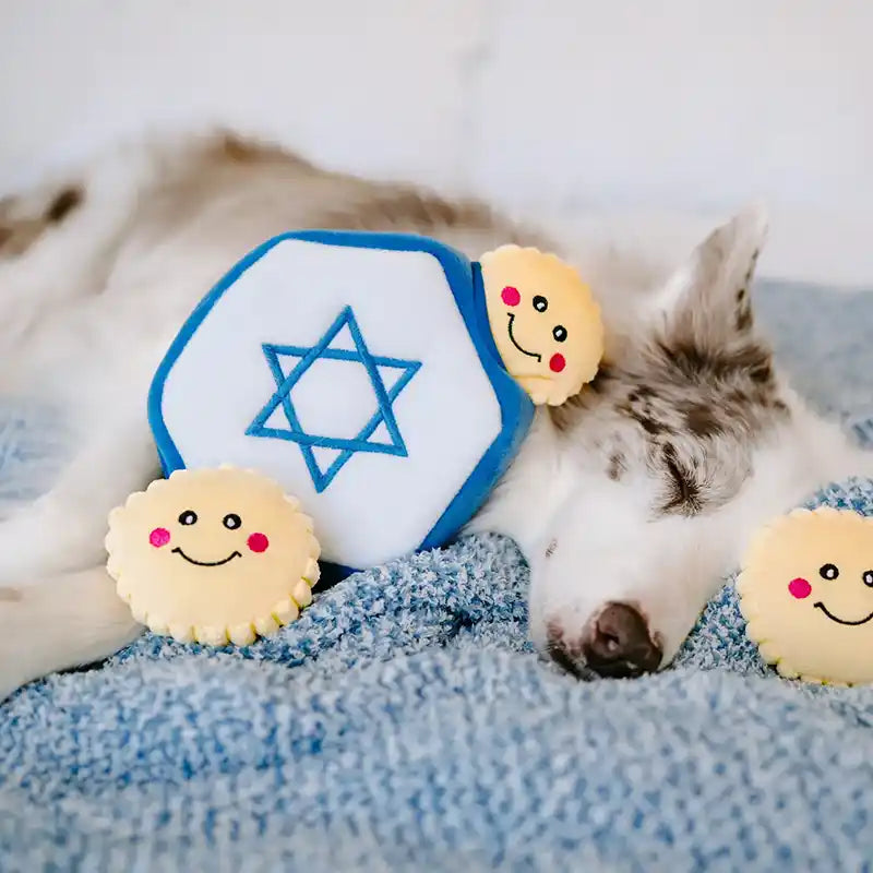 Star of David Burrow Dog Toy with sleeping dog