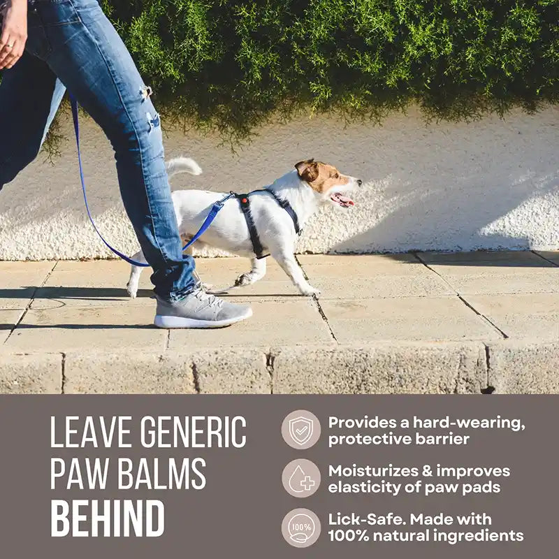 paw wax info sheet