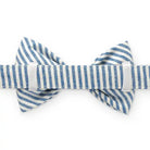 striped blue dog bow tie backside