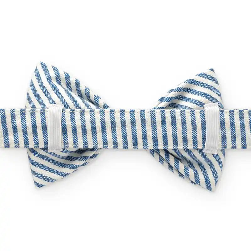 striped blue dog bow tie backside
