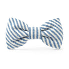 striped blue dog bow tie